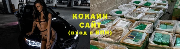 PSILOCYBIN Абаза