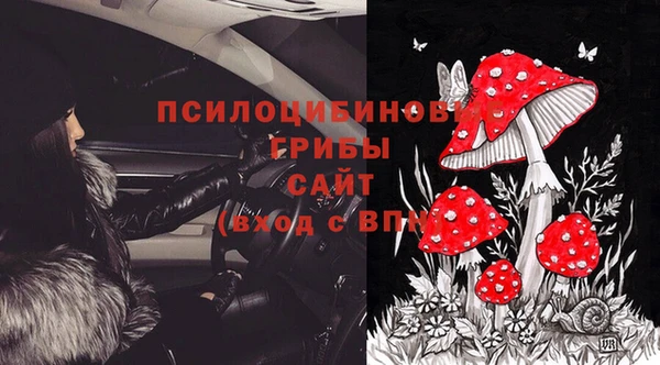 стаф Алзамай