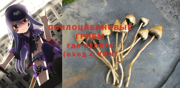 герыч Покачи