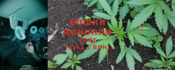 PSILOCYBIN Абаза