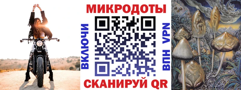 где продают наркотики  Заринск  darknet телеграм  Псилоцибиновые грибы Psilocybe  гидра зеркало 