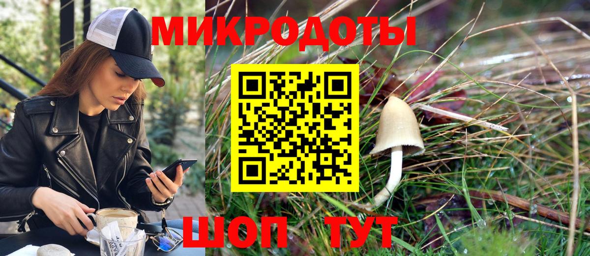 Галлюциногенные грибы Magic Shrooms  Вход с VPN  цена наркотик  Заринск  Галлюциногенные грибы GOLDEN TEACHER 